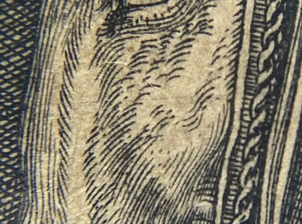 horse head close up from the Durer engraving