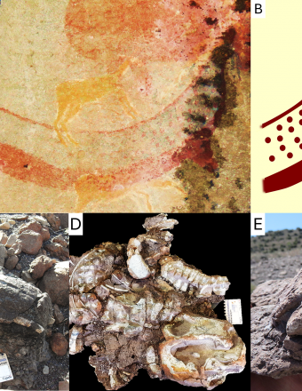 Does This Ancient Rock Art Depict an Extinct Animal?