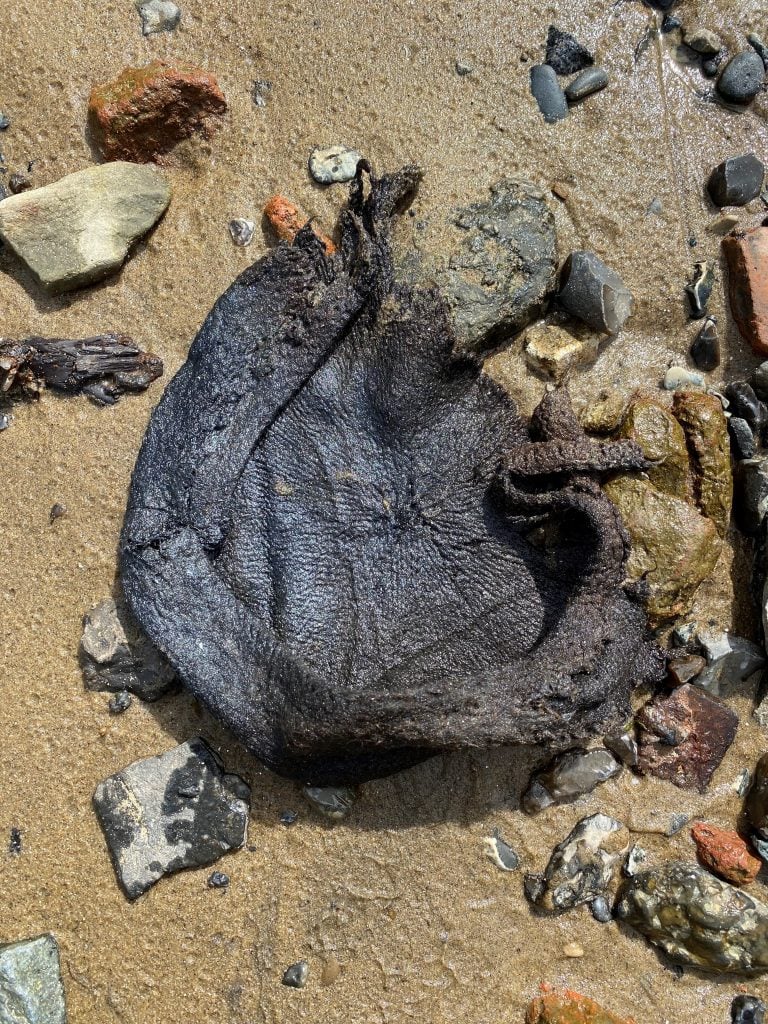 A woolen cap lying on a shore next to detritus