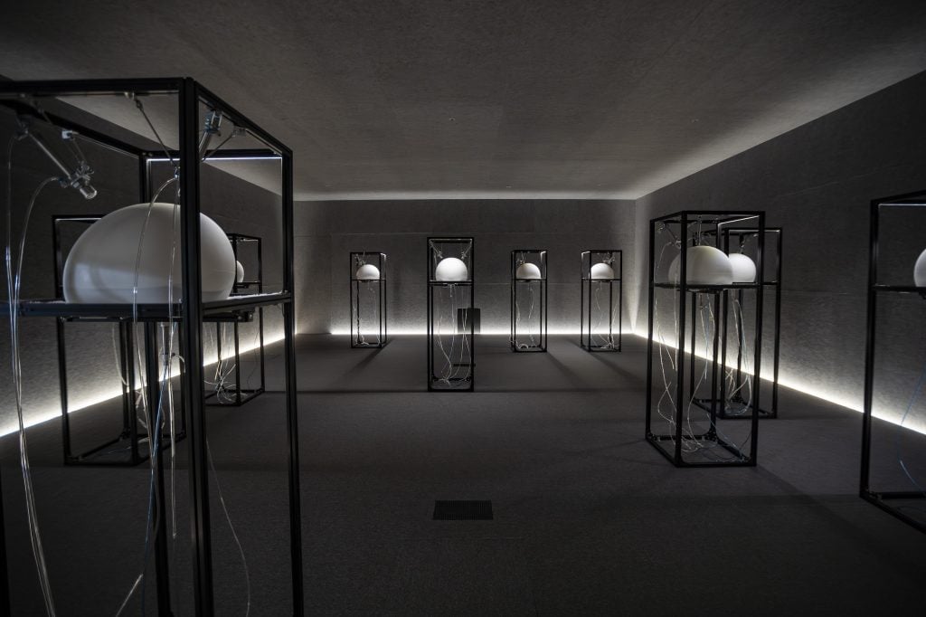 A dimly lit room with a number of shelves, each sits a white object in the shelf's frame