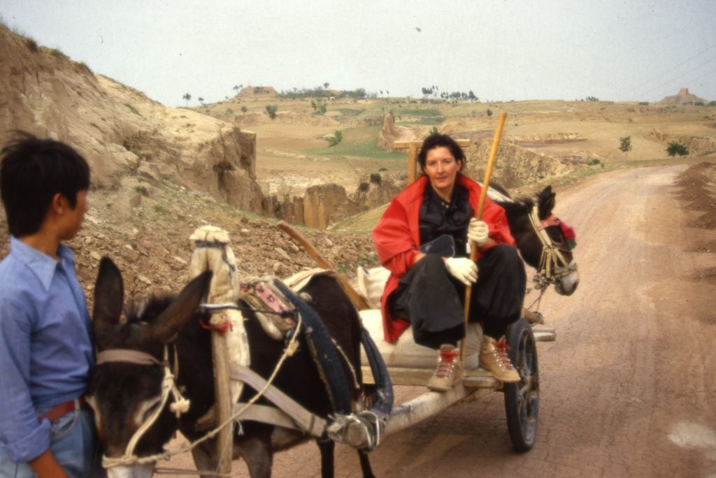 a woman in a red jacket sits on a wagon pulled by a donkey