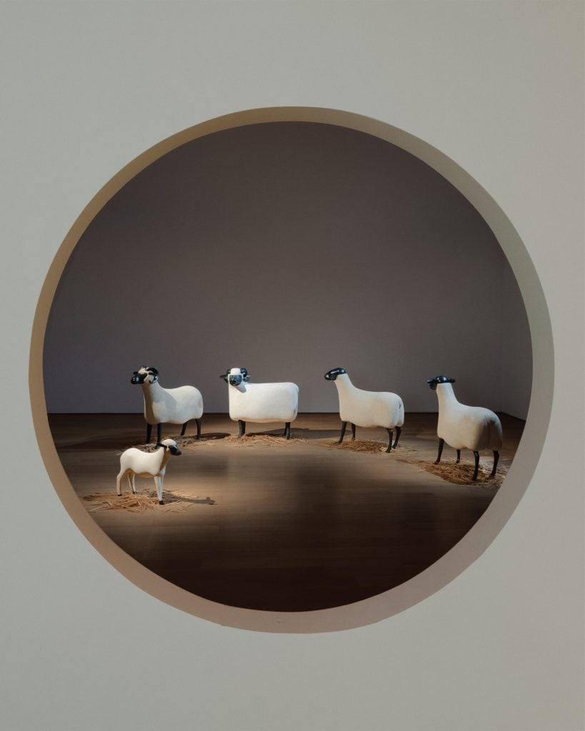 looking through a circle at model sheep