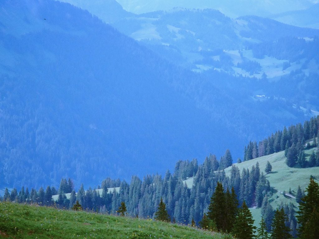 a majestic view of the alps 