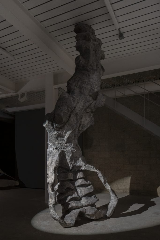 a giant sculpture in the middle of a dark room appears as a giant spinal cord