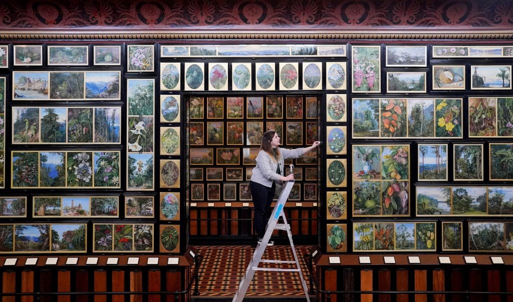 a room with many paintings of plants on the walls