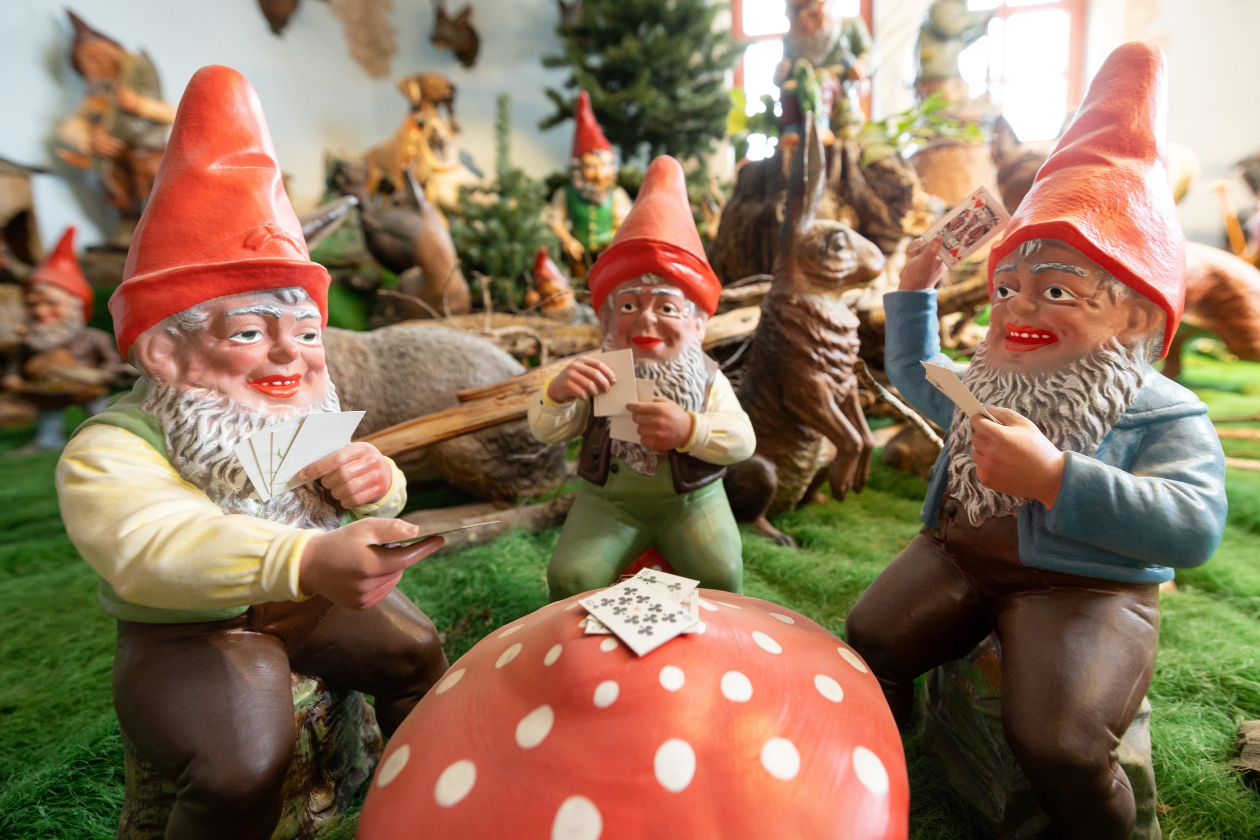 colorful garden gnomes in germany