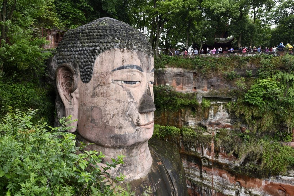 A close-up for the leshan budha's ginormous head, adorned with over 1,000 coiled buns. The expression on its face is stalwart, with a nose blackened by acid rain. Vegetation grows all around the buddha, nestled between rocks.