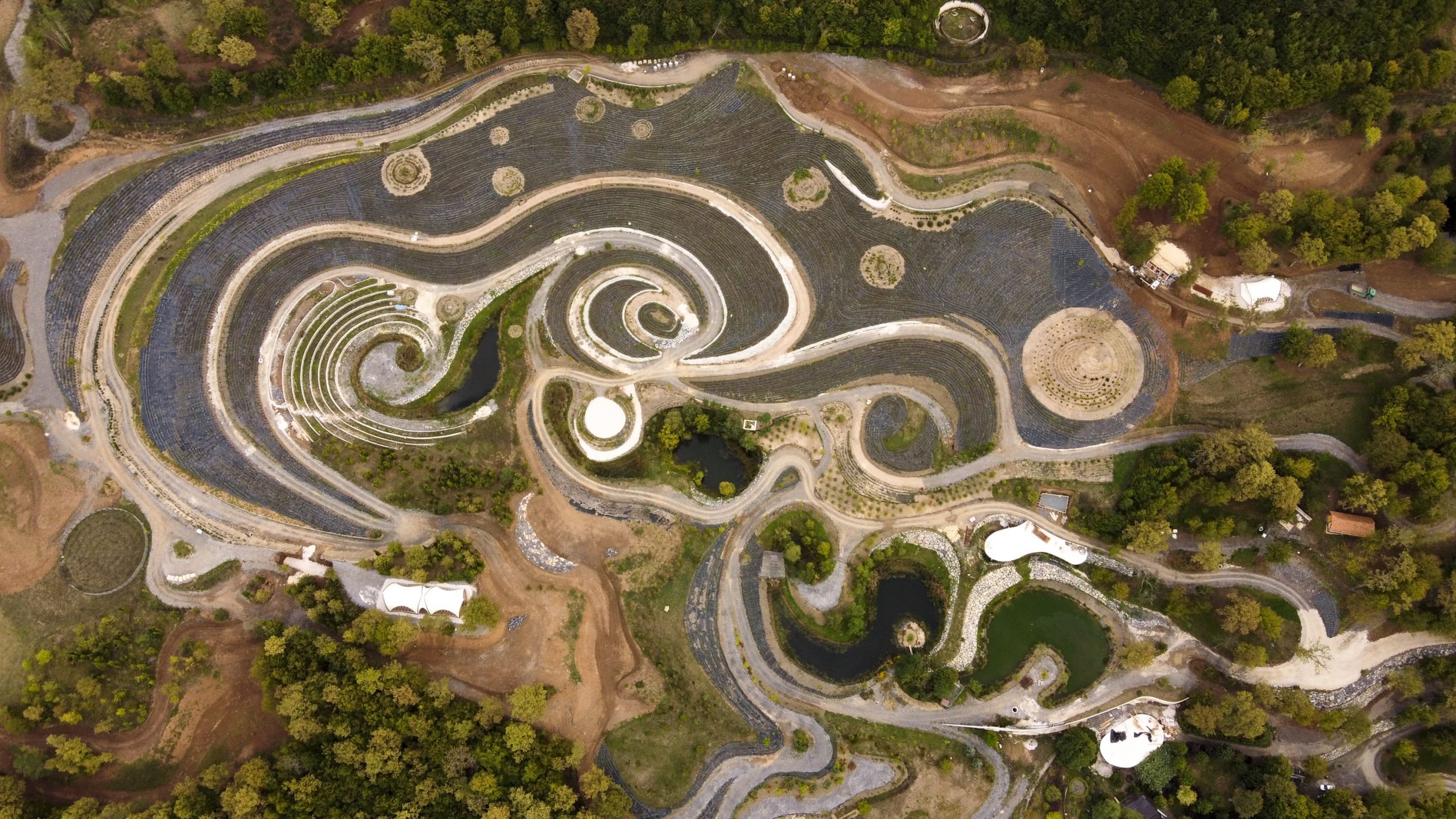 aerial photo of a park that looks like Starry Night