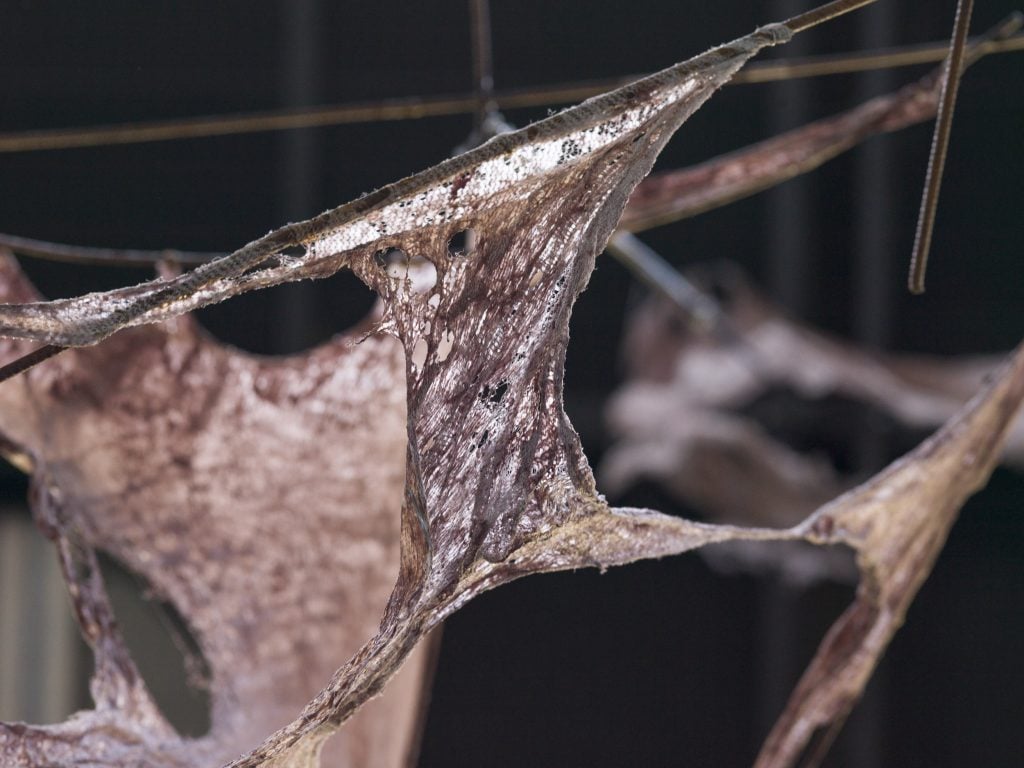 a close up view of a stretched of ragged, dirty looking, pinky brown fabric that is suspended from the ceiling 