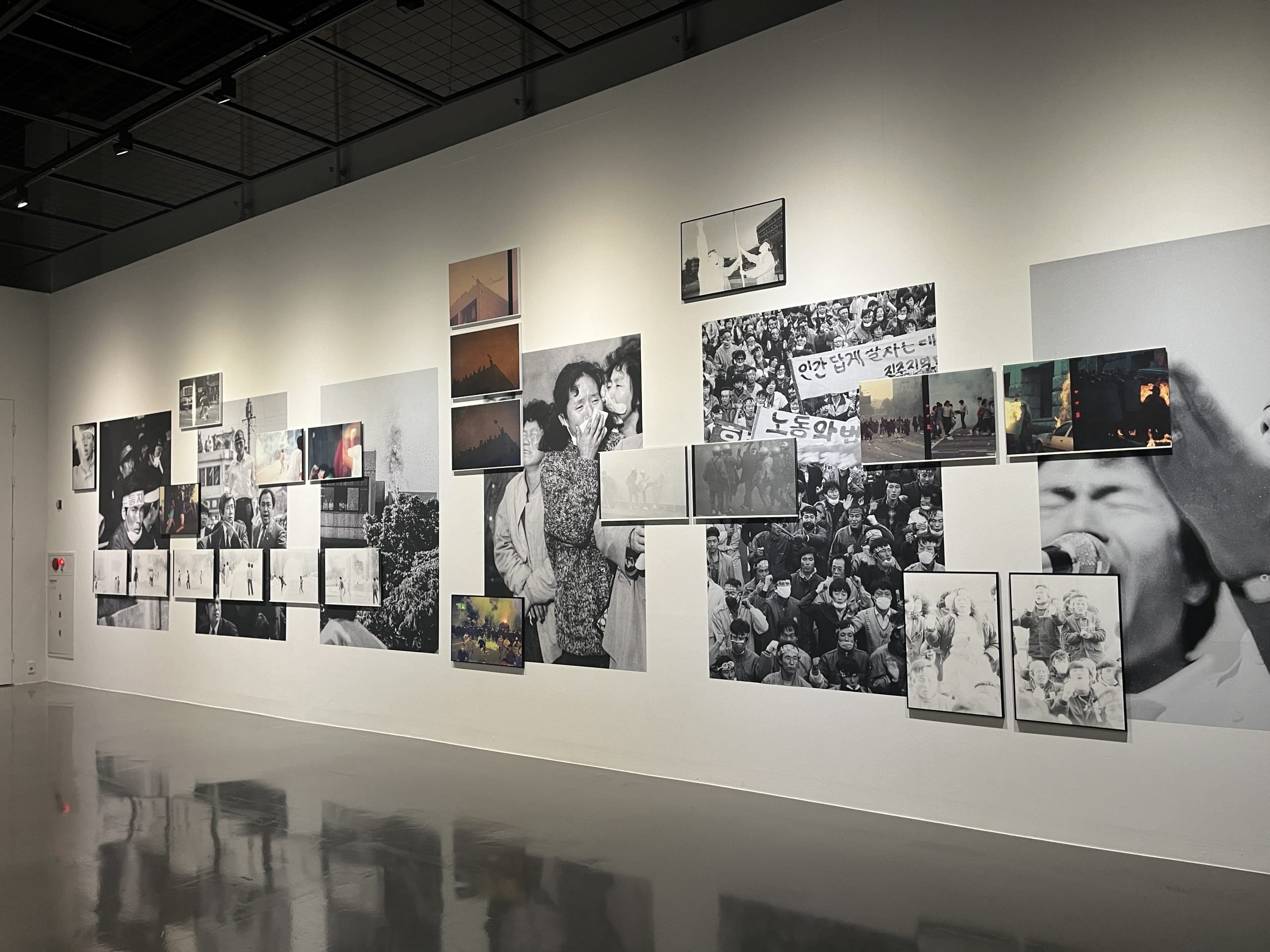 A variety of photographs of protests hang all over a wall.