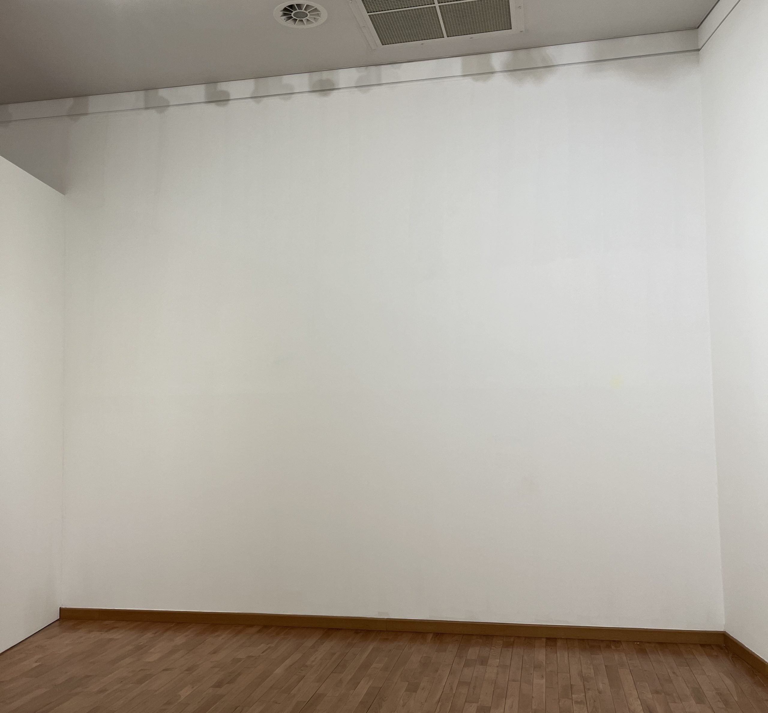 A white wall is seen in a photograph