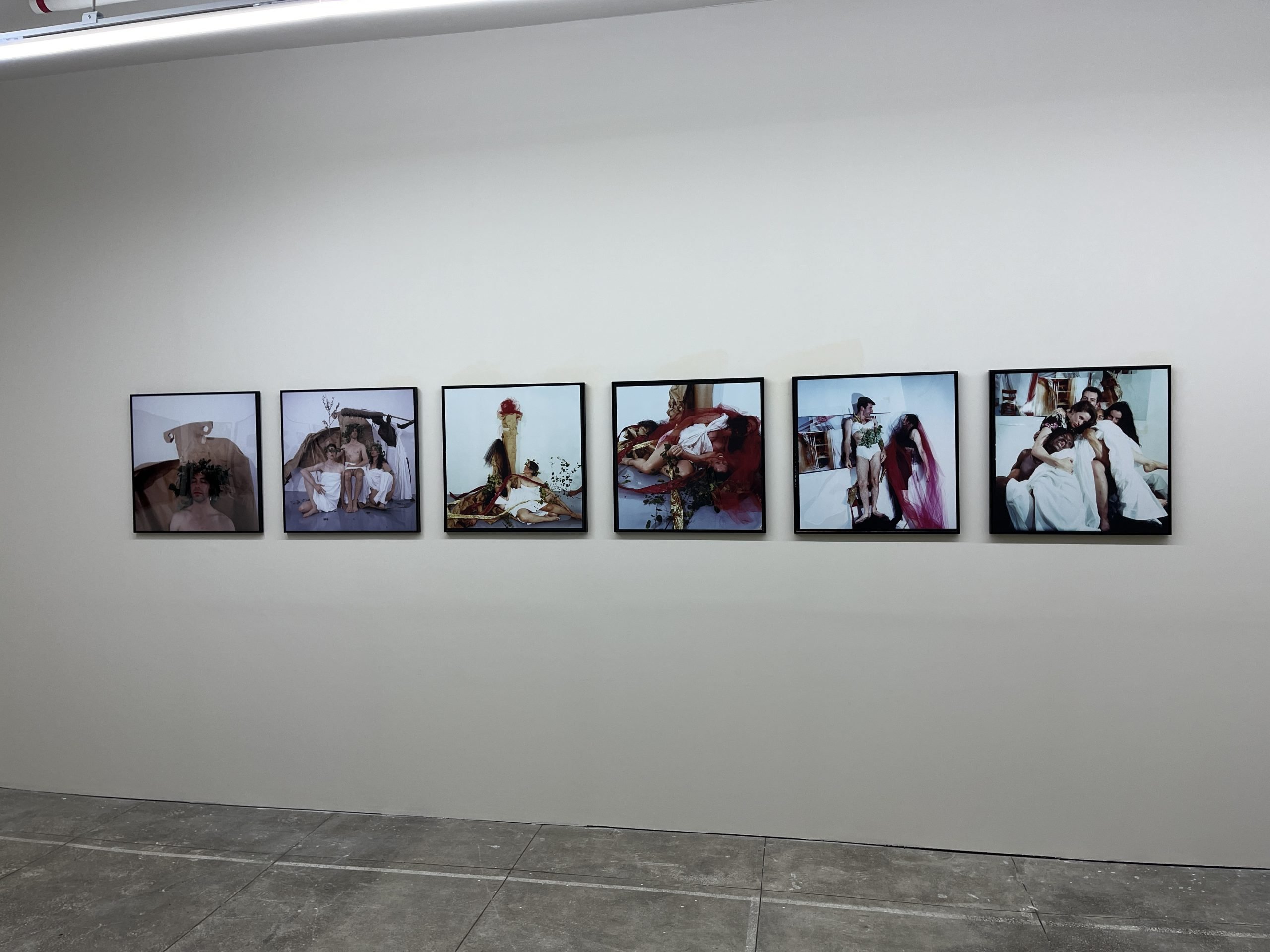 Six color photographs appear in a line on a wall