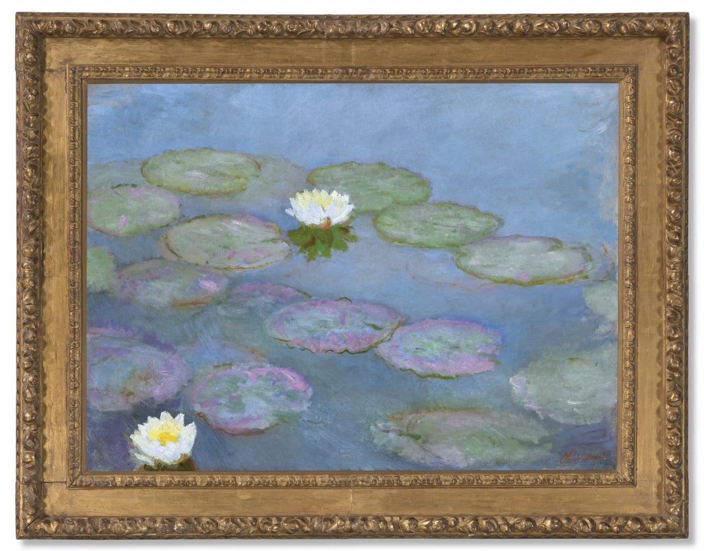 an image of waterlilies floating on a pond