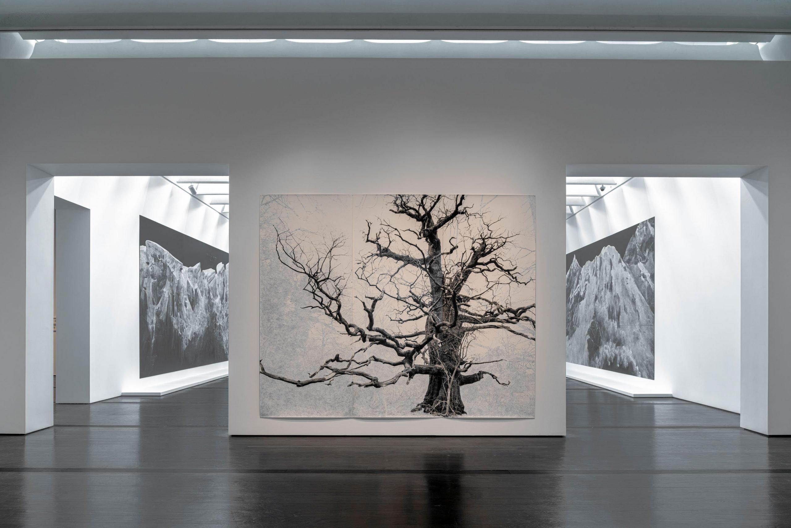 Installation view of "Tacita Dean: Blind Folly" at the Menil Collection, Houston with Beauty, a large format photograph of one of the U.K.'s oldest oak trees with colored pencil drawn over the background, and the artist's monumental blackboard drawings seen through the doors in the next gallery. 