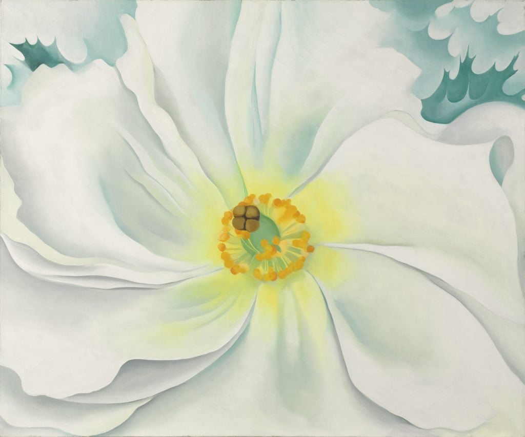 White Flower by Georgia O'Keeffe