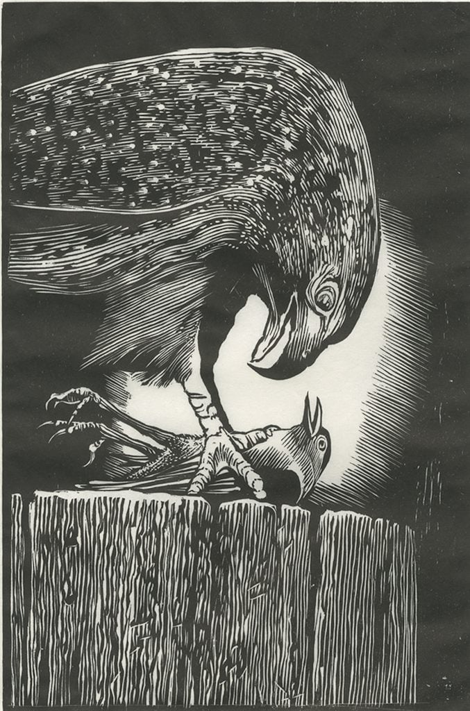 An artwork showing a hawk pinning a nightingale to the ground