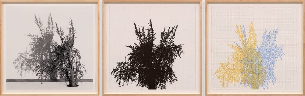 A series of three depictions of a tree with various treatments to the shadows, one greyscale, one black, one pastel, by Charles Gaines featured at Frieze London.