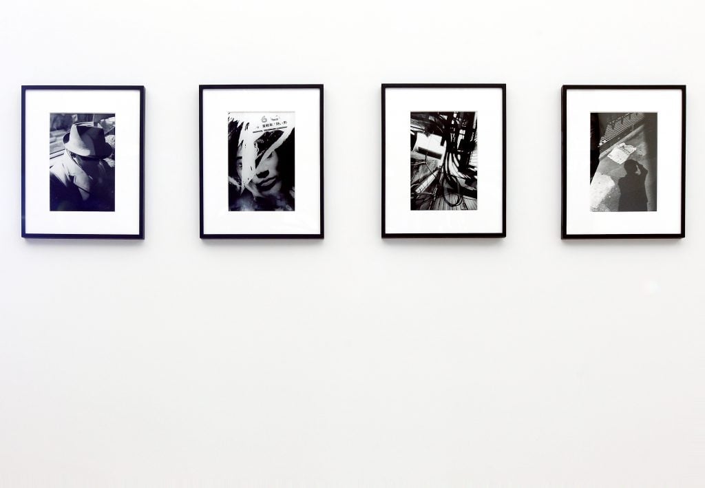 Black and white photographs by Daido Moriyama hanging in a gallery