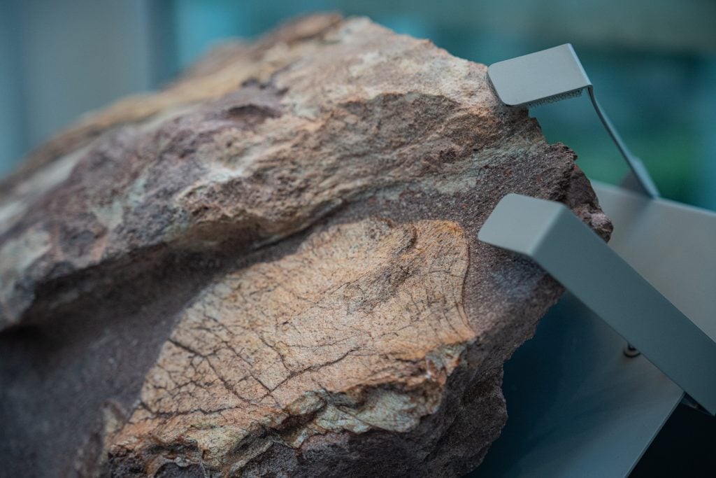 two light brown rocks stacked on top of one another inside a glass display case