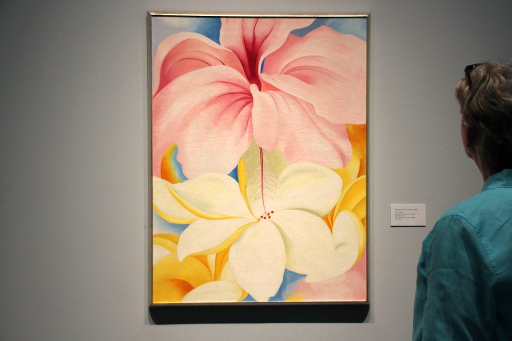 Georgia O'Keeffe's pastel painting of a hibiscus on view in a gallery