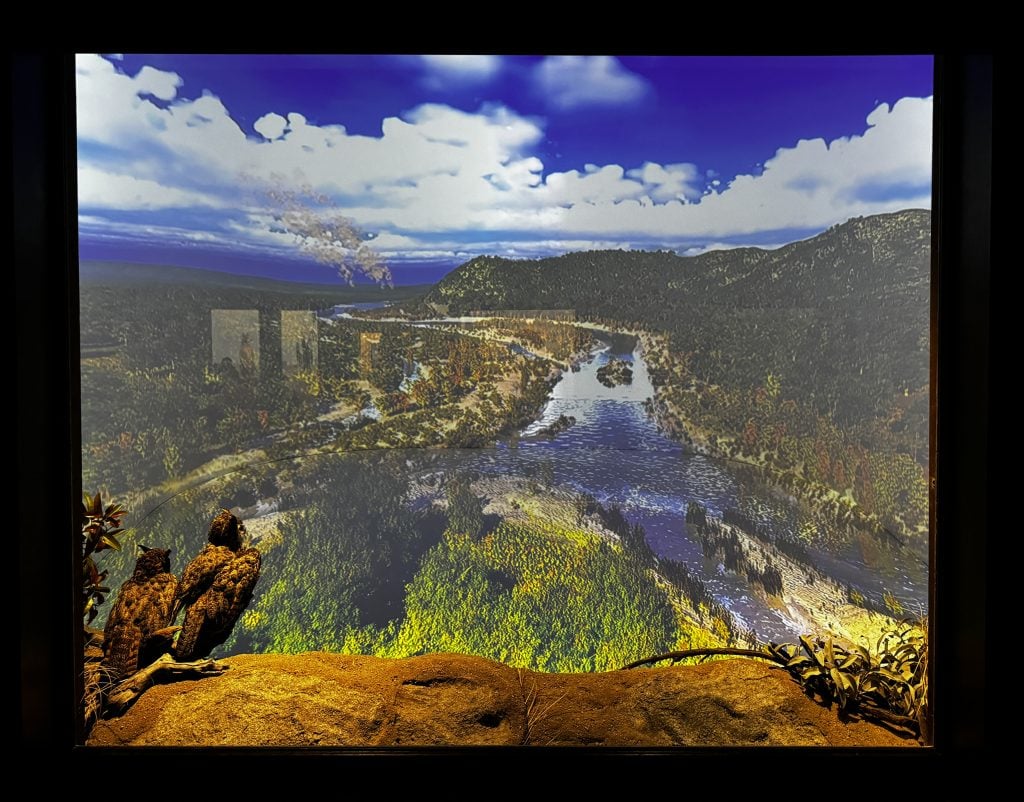 A diorama of two birds sitting on a rocky ledge facing a digital projection of the Los Angeles River.