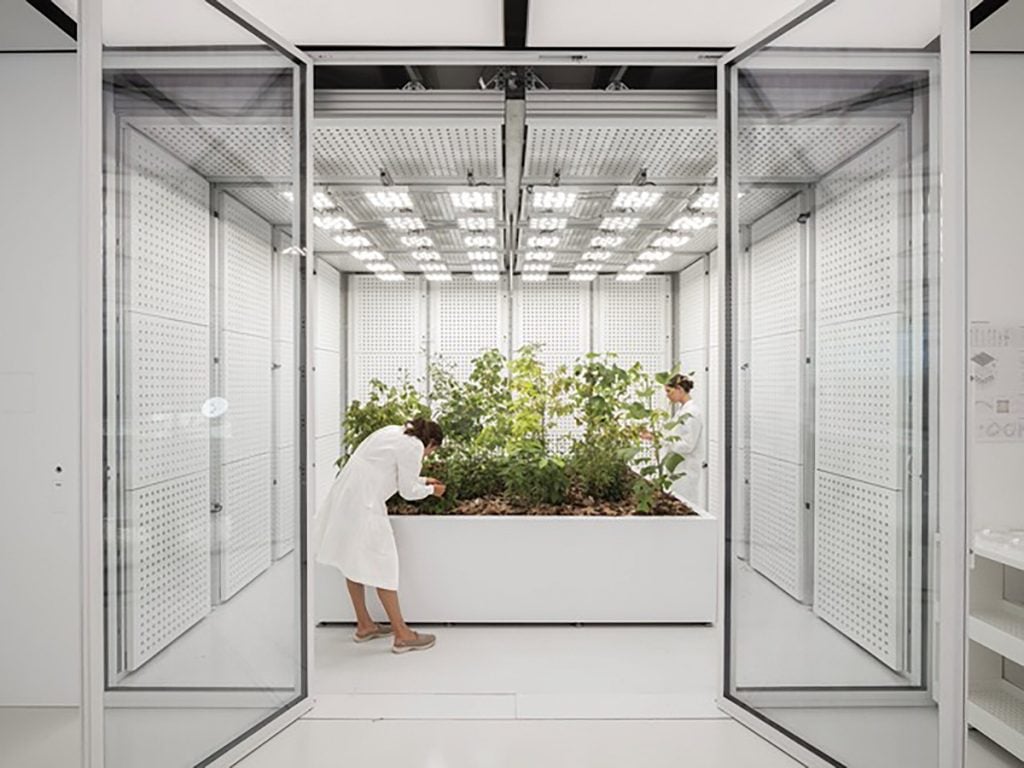 Two scientists in a white room tending to a large plot of green plants