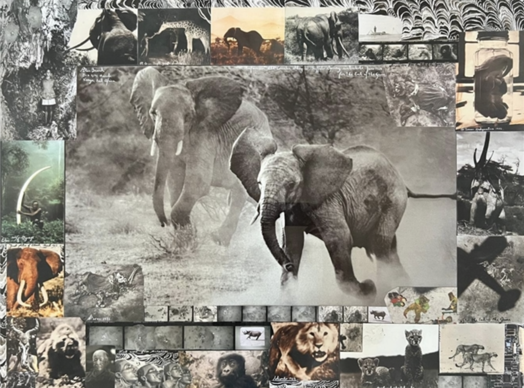 Photo collage of elephants by Peter Beard included in Artnet's Important Photographs sale.