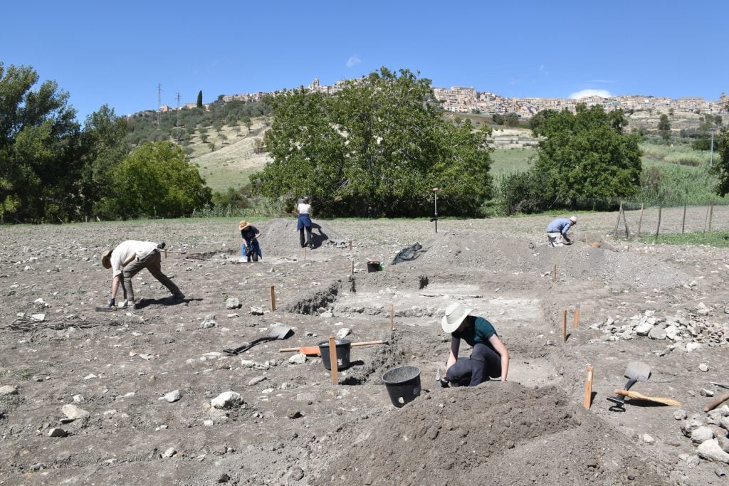 people digging in a field