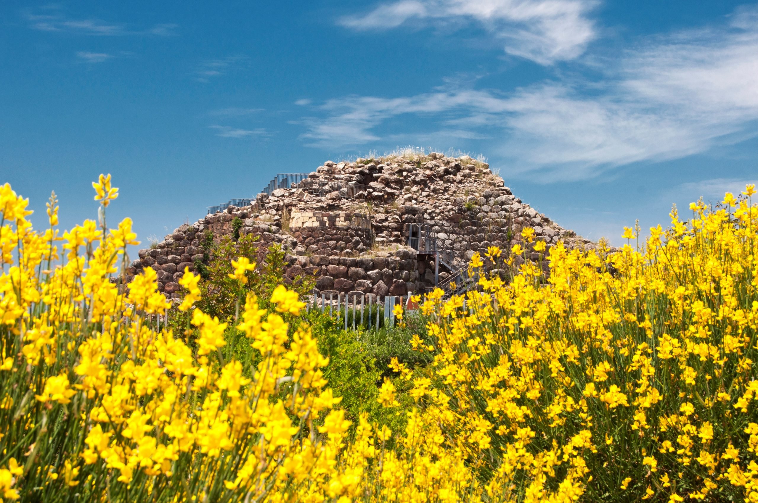 An ancient stone structure emerging from a field of green grass and yellow flowers