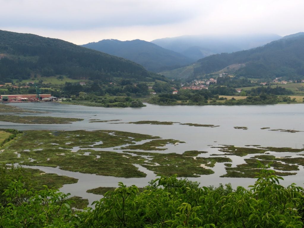 A nature preserve, with marshlands and green hills