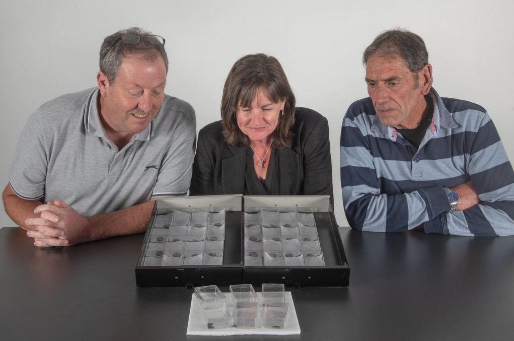 Two men and a woman looking at a box filled with ancient coins