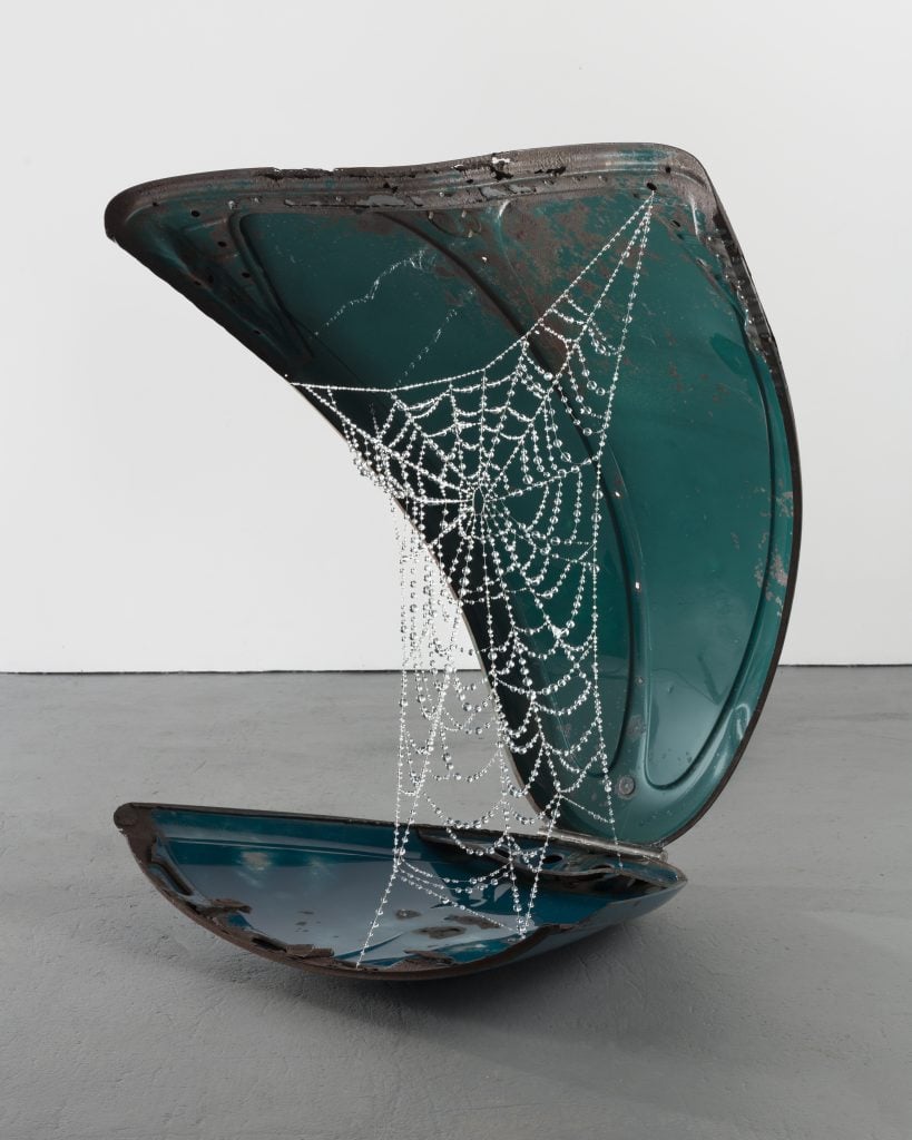 a sculpture of a clamshell with a web inside