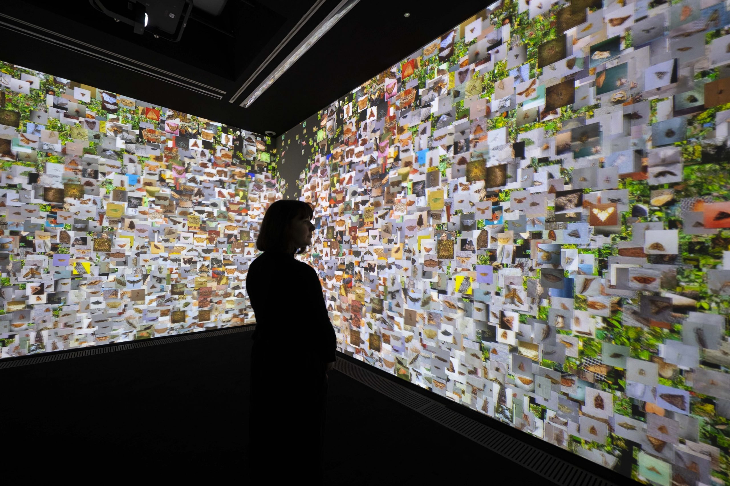 A silhouette of a woman stands in front of two large walls displaying a vibrant digital collage of nature-themed images.