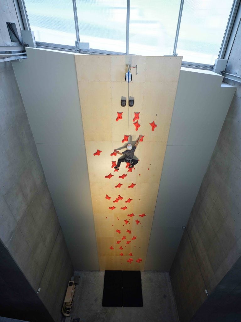 A person reaching the top of a wall climbing installed indoor