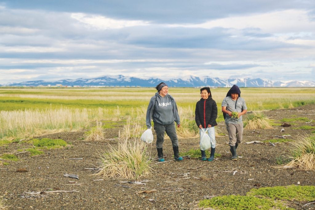 Three women standing in an Alaskan field harvesting beach greens