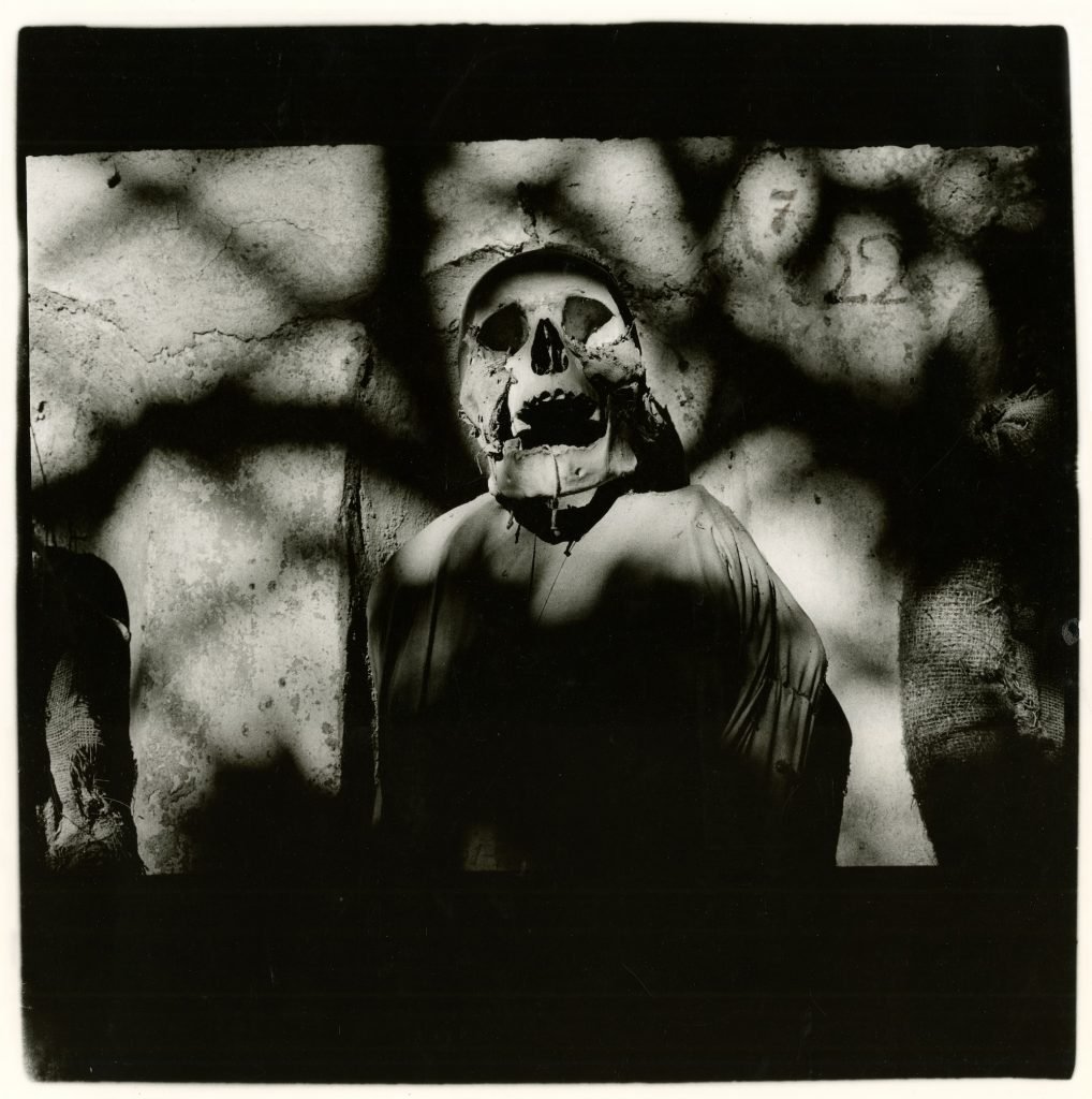 a black and white photo of a skeleton with shadows falling across it