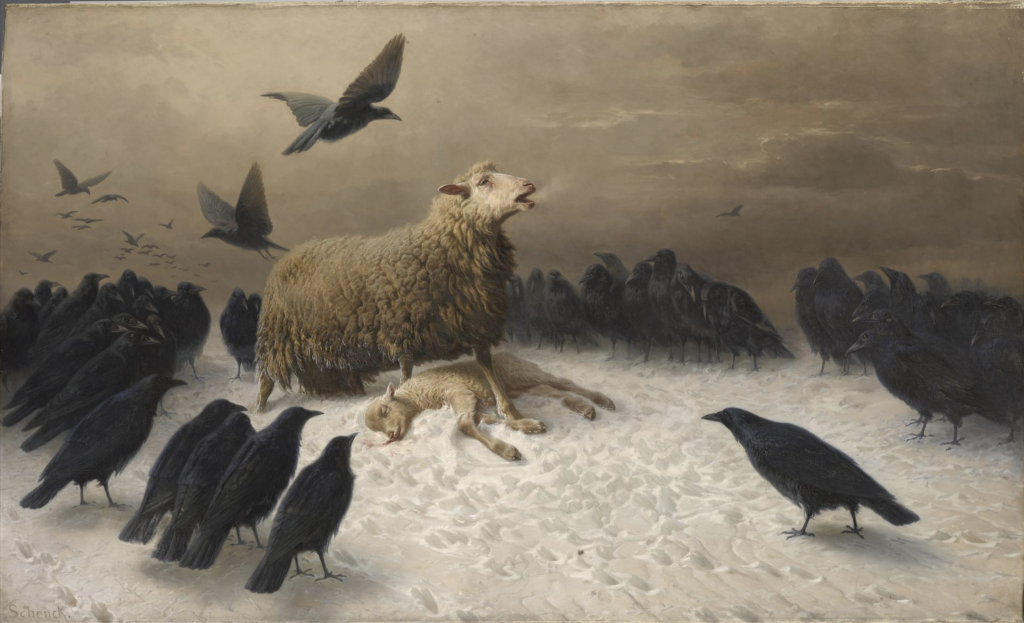 19th-century painting by August Friedrich Schenck titled Anguish showing a ewe bleating in the cold over her dead lamb, which has blood coming out of its muzzle and onto the snow, and they are surrounded by dozens of black grows under a grey brown sky.