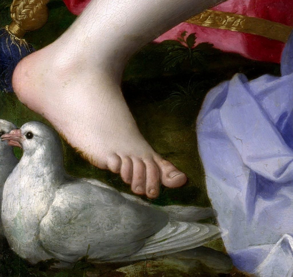 Close-up of a Bronzino painting showing a foot hovering above a dove