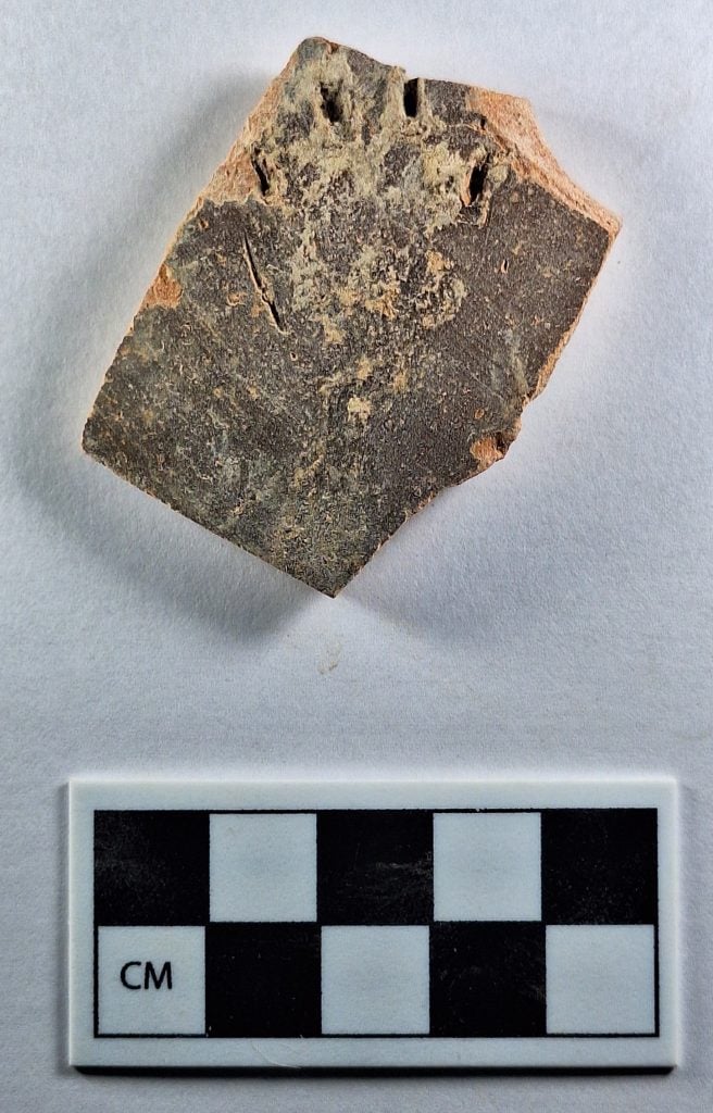 A photograph of a pottery shard featuring a kneading cat claw and paw, pictured on a white background above a checkered ruler for scale.