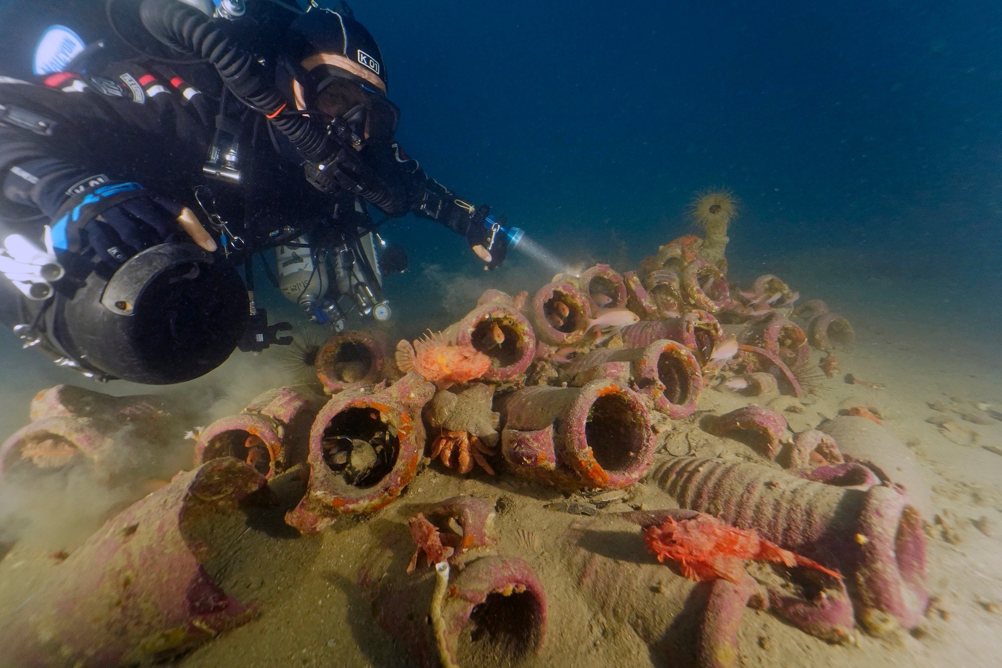 An underwater photograph looking up at a diver examinging several neat rows of Richborough Jar pottery submerged milennia ago.