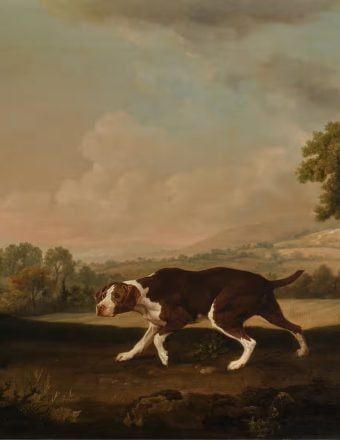 Woof! This Famous Dog Portrait Could Fetch Up to $2.5 Million