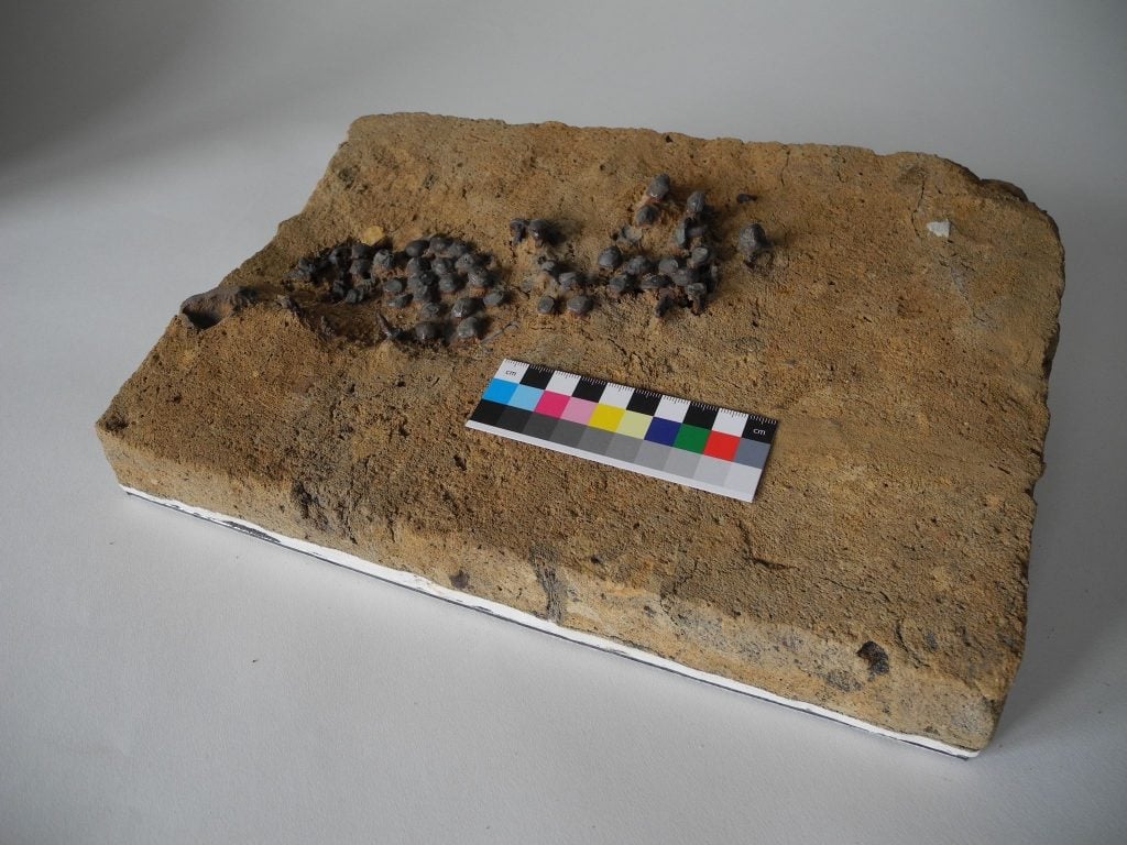 A photograph of a cluster of nails arranged in a shoe-like shape on a block of earth on a white table, with a ruler nearby for scale.