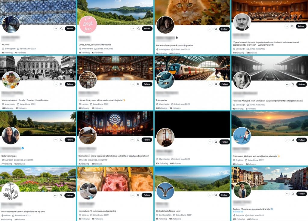 a grid view of 16 social media bio pages with user names blurred