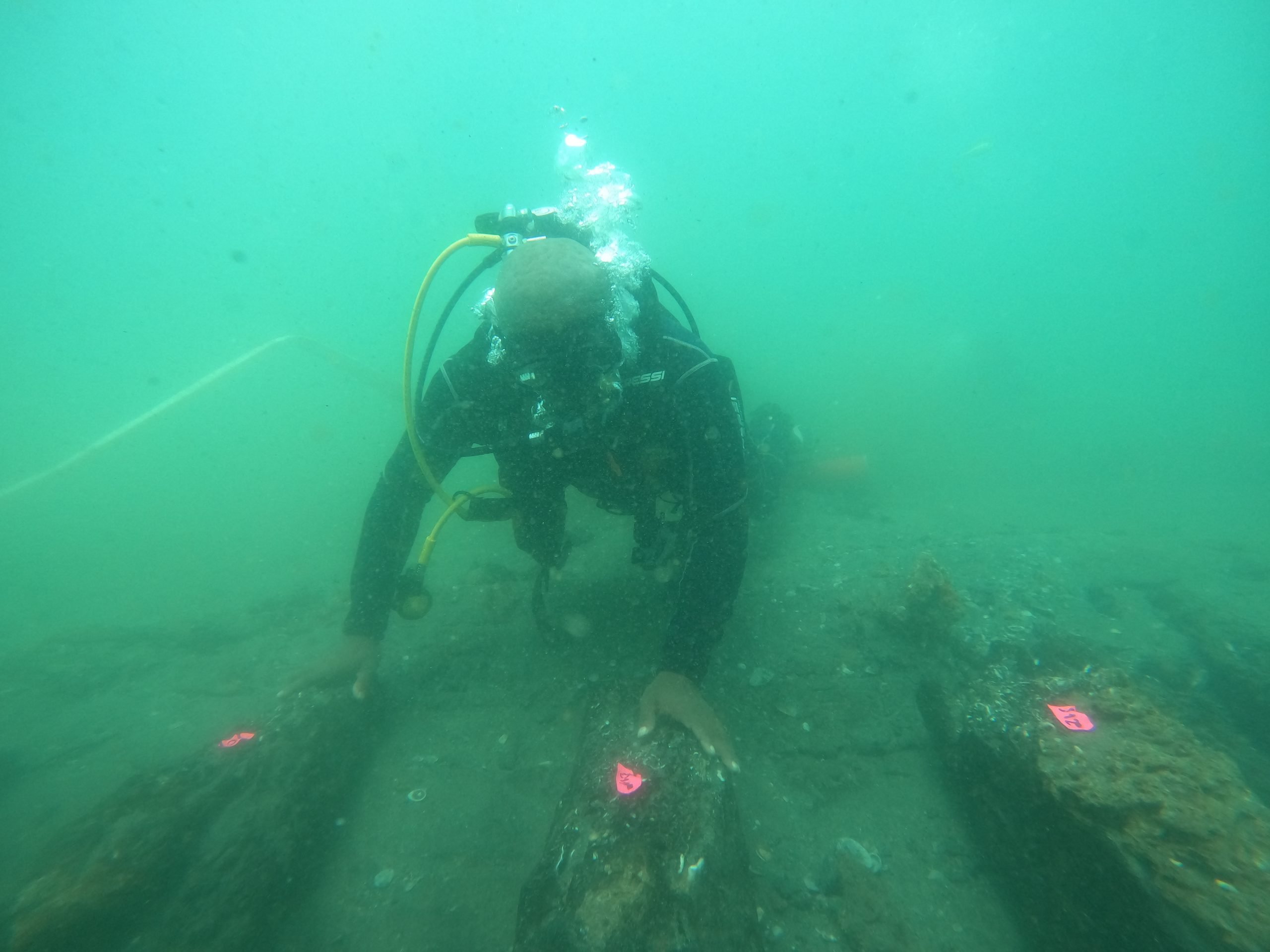 A photograph of a diver observing wooden pieces from a shipwreckage underwater with bright pink tags.