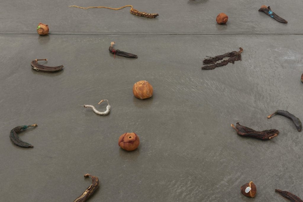 Dried-out skins of various fruits displayed on a floor