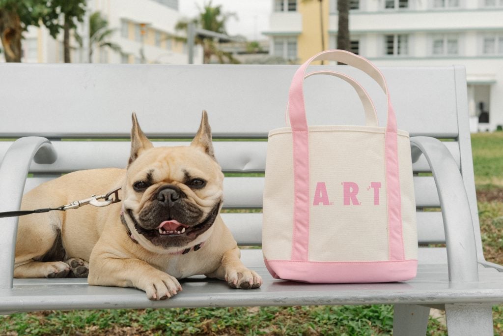 a french bull dog sits next to a bag that says art on it on a bench outside