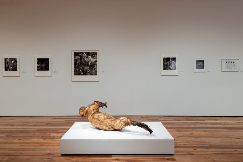 A photograph of an art exhibition features a central sculpture resembling a distorted, organic human or animal form with a textured, raw surface, displayed on a white pedestal. The background showcases a clean gallery wall lined with framed black-and-white photographs, evenly spaced and illuminated, adding depth to the minimalist space with its wooden floors and neutral walls.