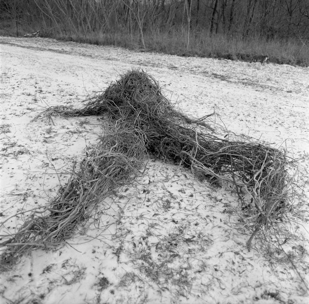 A black-and-white photograph of tangled branches and vines arranged in the shape of a human figure lying on snow-covered ground. The figure's form is sprawling, with limbs extending outward, blending naturally into the wintery landscape. The surrounding barren trees and muted setting enhance the eerie, organic appearance of the scene.