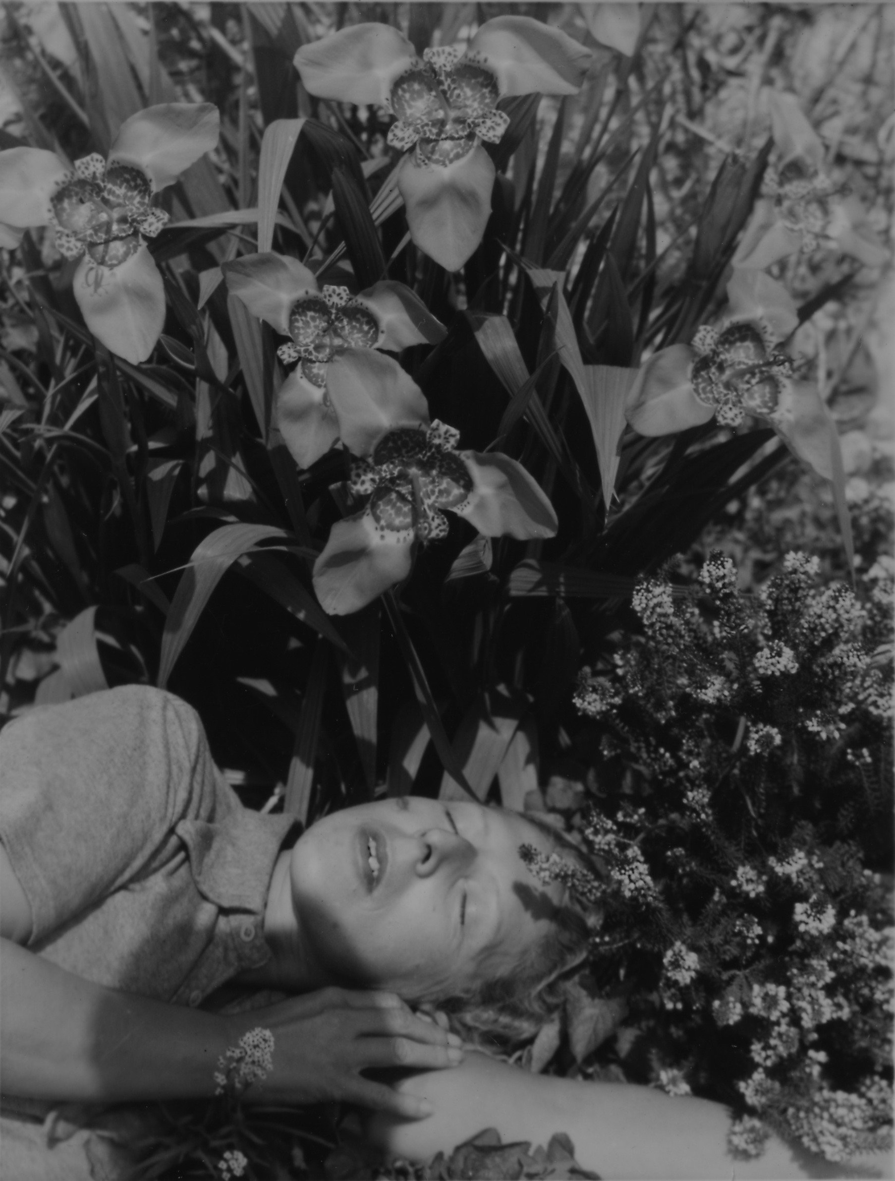 A female figure in a black-and-white photo appears near orchids