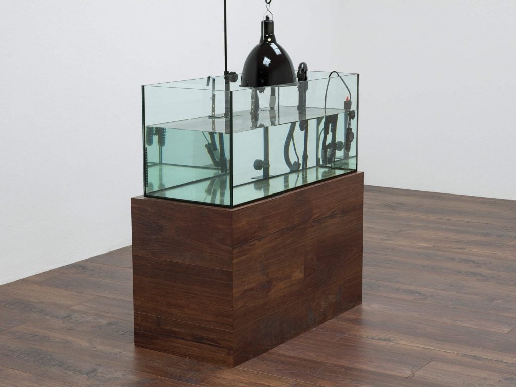 This image shows an installation of what appears to be a fish tank full of water standing on a wooden block. A lamp dangling on top of the fish tank. 